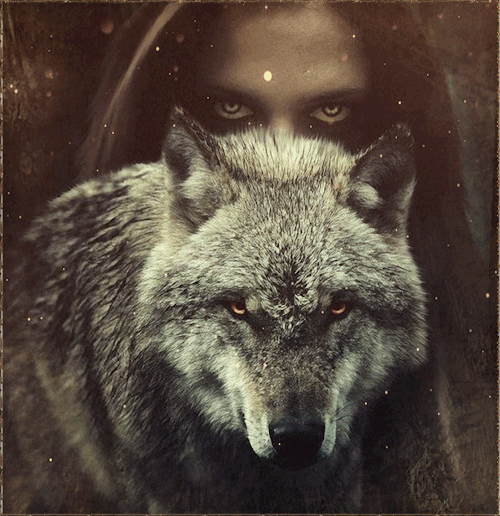 blackhawkdrv:  misswahoo:  Ravenous Rain and Savage Fire  Grrrrr!You know it wolfen Savage 