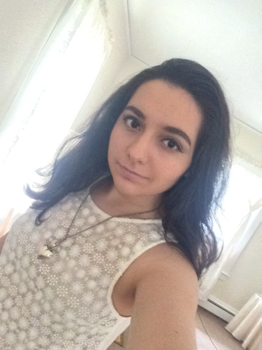 beargif:  nyehello 🆕🆒