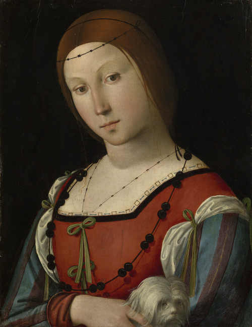 Lorenzo Costa, Portrait of a Lady with a Lapdog, 1500-1505. Oil on poplar panel, 45.4 x 35.0 cm. Roy