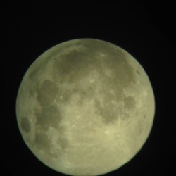 cybrkid:  some pics i took of the full moon