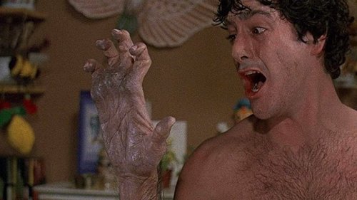 37 years ago An American Werewolf in London was released. In my opinion it remains one of the best w