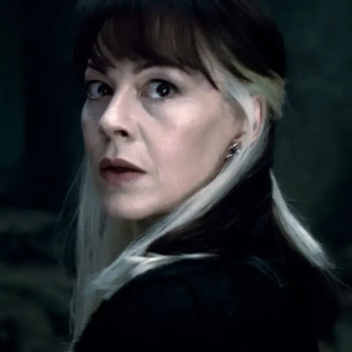 Yandere! Mother! Narcissa Malfoy & Gn! Malfoy! Reader