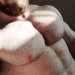 chest-n-nips: