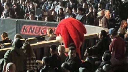 Don't Know Shit About Wrestling