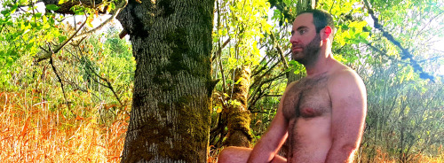 hairydaddyplease.tumblr.com/post/132746656518/