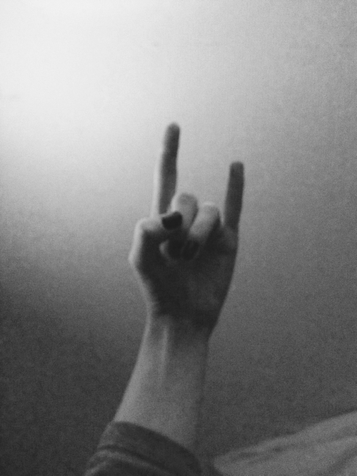 Miss nothing