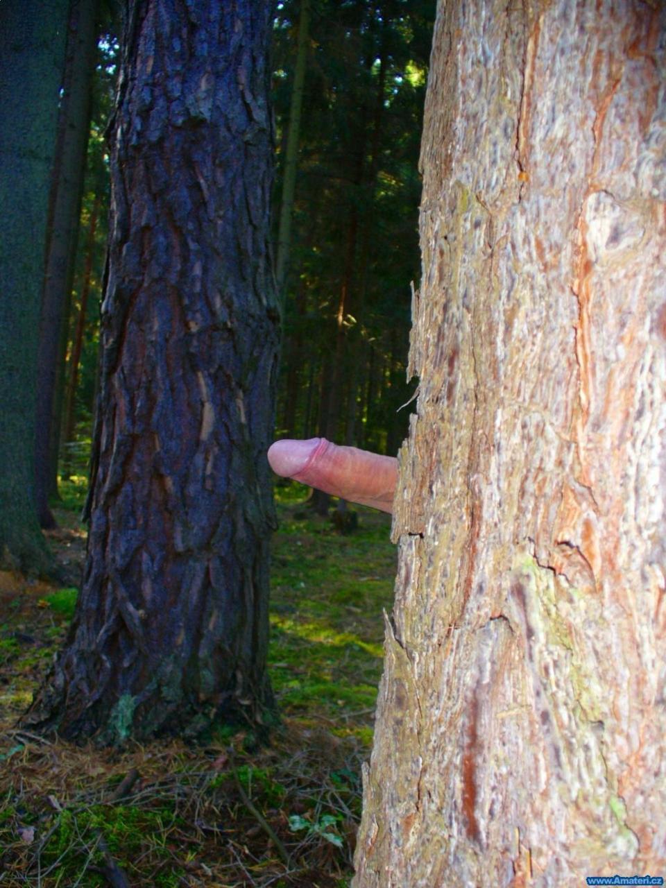doggingwith-me:  fucking at a dogging spot