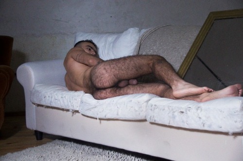 remarkcentral: Cachorro.