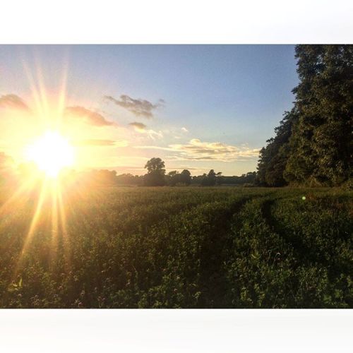 such a lush sunset today(at Mathern, Monmouthshire, United Kingdom)