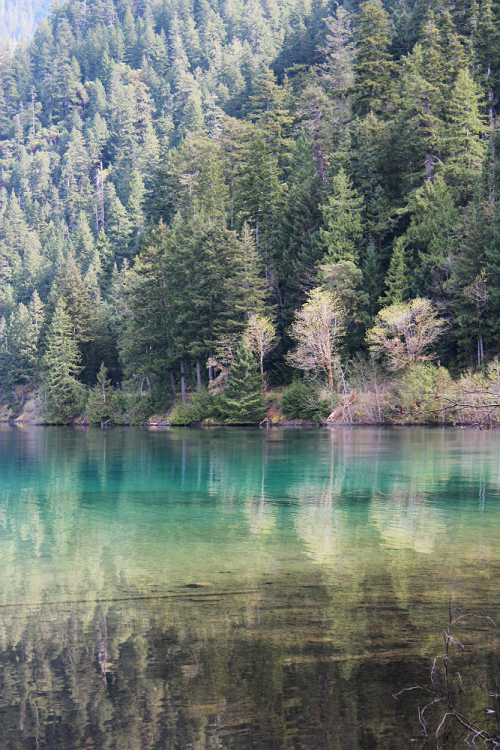 bright-witch: Nymph’s Lagoon ◈ Pacific Northwest photography by Michelle N.W. ◈ ◈ Print Shop ◈