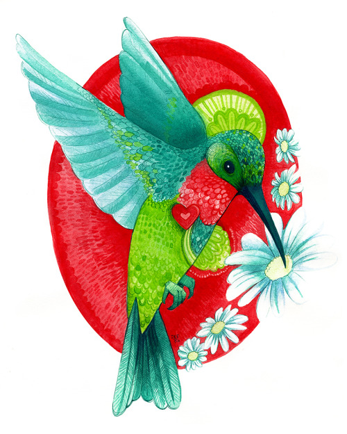 Hummingbird in memoriam of Armanda McCafferty.