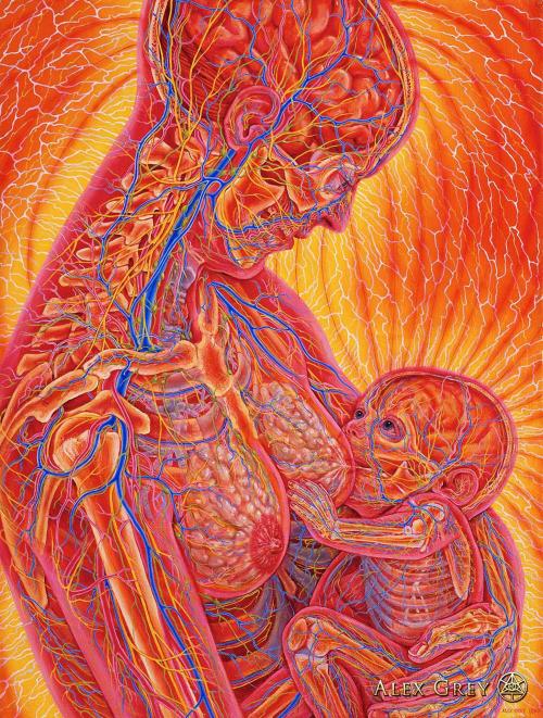 ॐ Art by Alex Grey. Follow Machine Elves for more like this  ॐ
