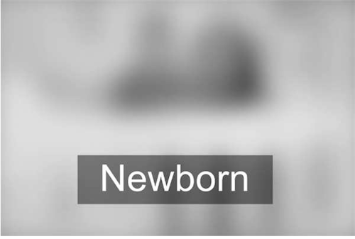 gif87a-com:  Babies Eye Development