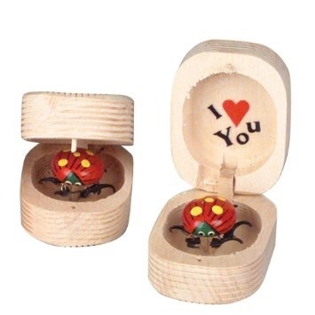 algrenion: iluvbugz:  i get on one knee and pull out a tiny wooden box… i open