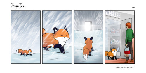 sinclair-atomos:  gokhanonat:  Stupid Fox …   CUTE! where is the link to these?
