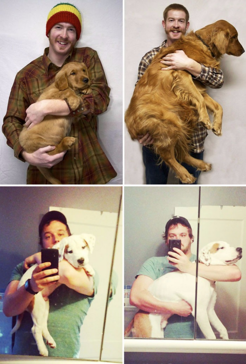 tastefullyoffensive:  Before and After Photos of Dogs Growing Up (images via boredpanda)Previously: Before and After Pictures of Animals Growing Up