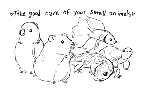 geckomun:a quick doodle (nearly all turtles get pretty big but i drew this on a whim)