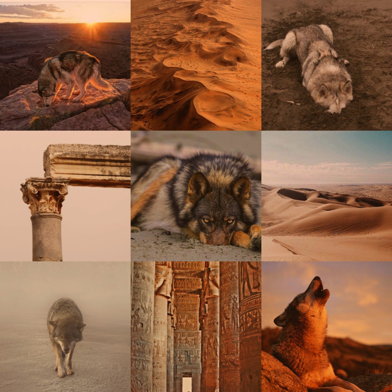 fromtheheart-kin:  Aesthetic for a wolf who lived in ancient ruins in the desert. -