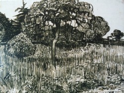 loverofbeauty:  Vincent van Gogh:   Weeping Tree   10