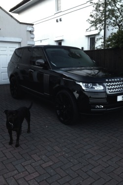 vistale:  Range Rover