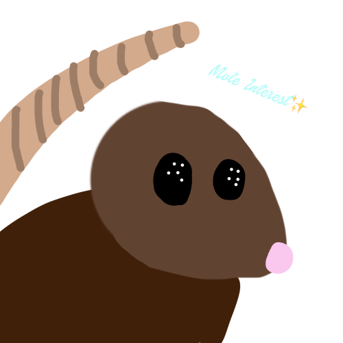 My Entire Fucking Tumblr Is Full Of Fucking Mole Interest And Im Half Pissed And Half Pissed I Love It