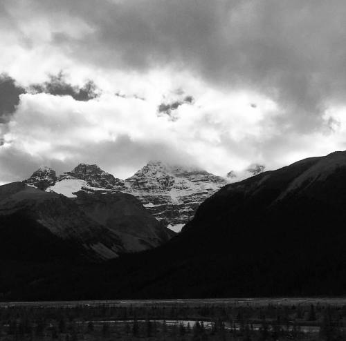#icefieldsparkway #banff #alberta #roadtrip #mountains #blackandwhite #bnw #ominous #contrast #winte