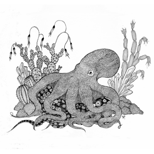 cjdillustration:Octopus + Crystal, 2014, Micron pen on archival cartridge. Private commission.