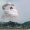 elphabaforpresidentofgallifrey:  growingintheweeds: the little boy who created the