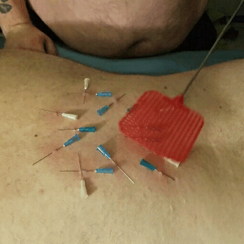 pupdozor:  thepupupthere: Well this was interesting to watch.   @berlik applying