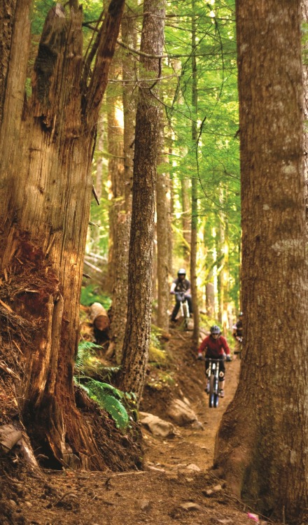 mypubliclands:  Blazing a New Oregon Trail! Mountain bikers from all over the world ride these world