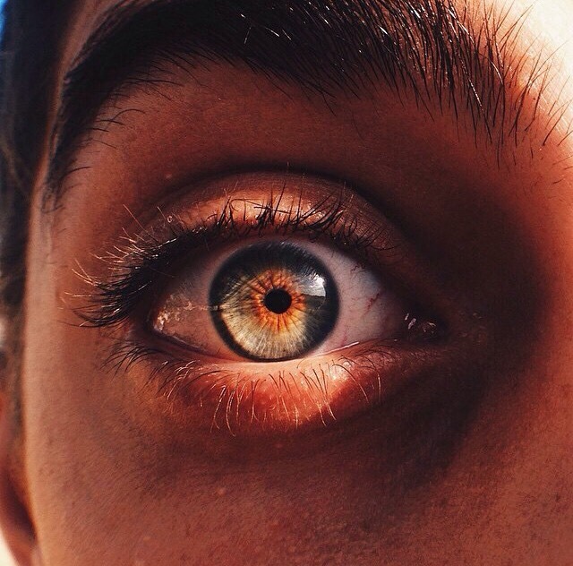 malandrex