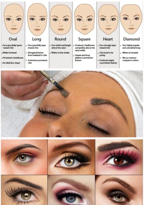 Eyebrow Beauty Infographics from Nova & Knox