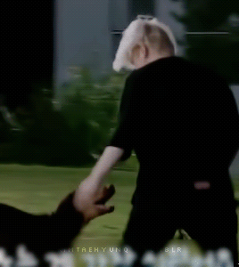 Min Yoongi & Dogs