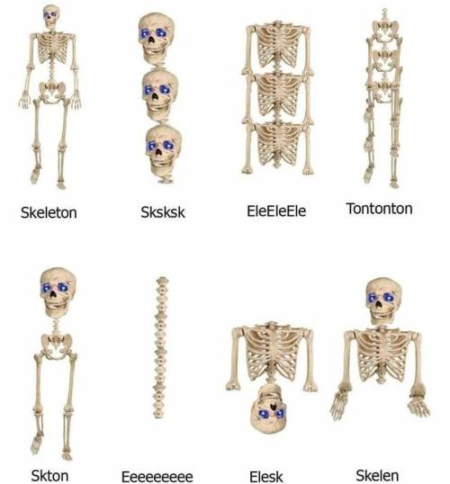 linguisticillustrations:inthefallofasparrow: Finally, society managed to combine Morphology (linguis