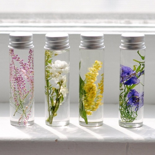 sosuperawesome:Bottled Preserved FlowersSullis Garden on EtsySee our #Etsy or #Real Flower tags