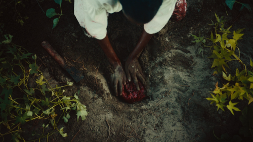 shesnake:The Underground Railroad episode 1 "Chapter 1: Georgia" (2021) dir. Barry Jenkins