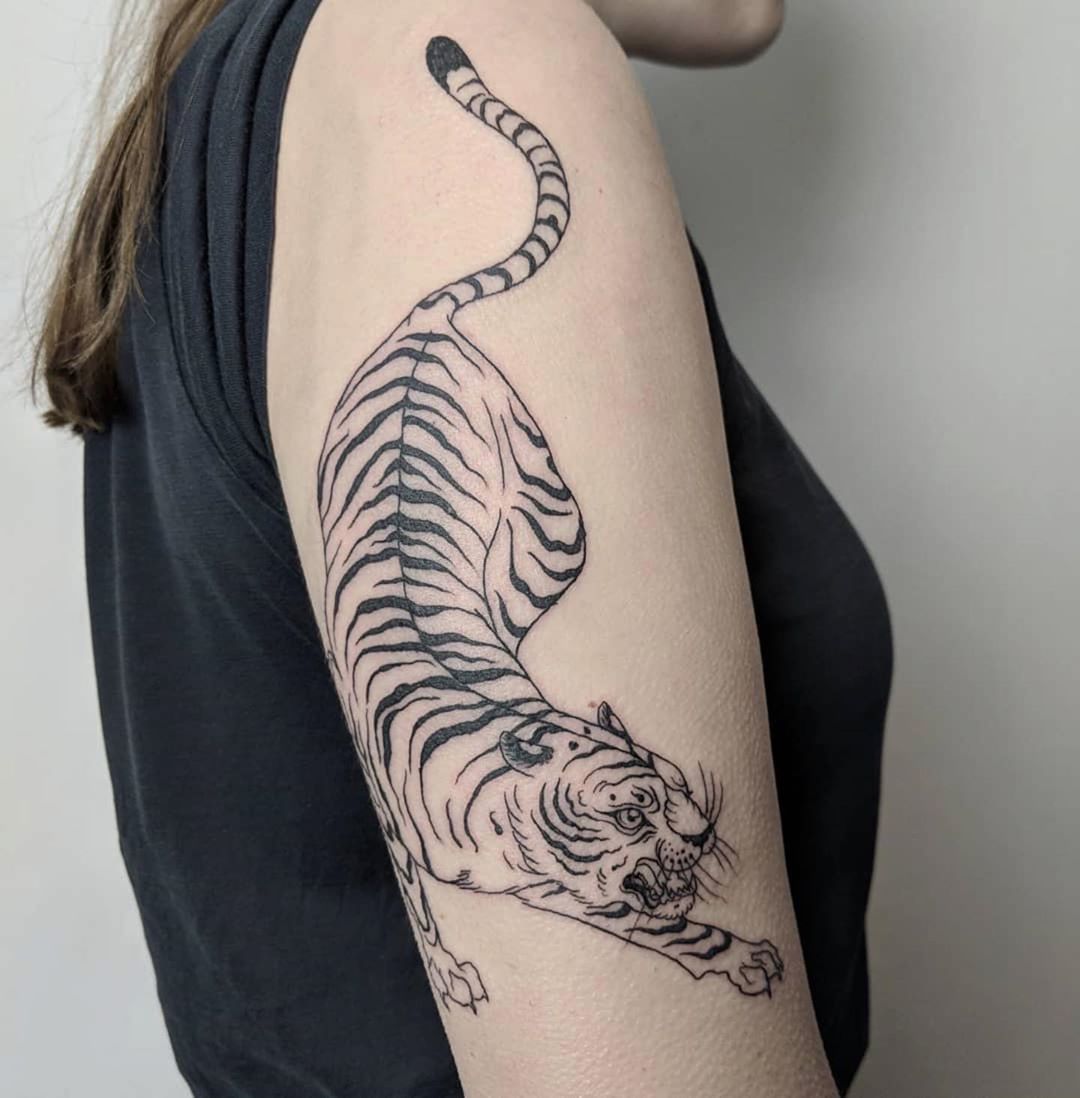 Tony G on Instagram Single needle crawling tiger baitandschlangtattoo  tonygtattoos finelinetattoo montrealtattoo