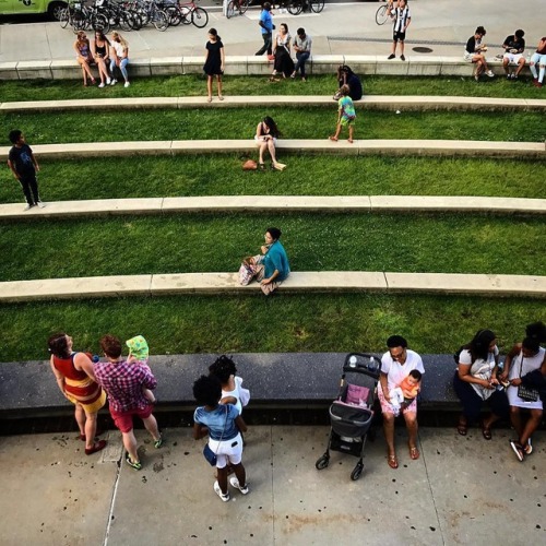 It may officially be fall, but there is still a symphony of summertime out on our plaza! Enjoy thes