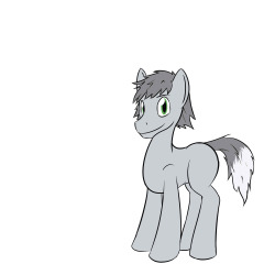 A ponification of a wolf character named