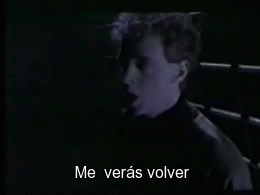 miserable-con-suerte:  Sabrás ocultarte bien y desaparecer entre la niebla.