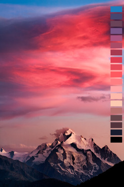 naturalpalettes:  photo by Job Reid 