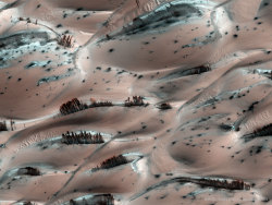 Universe–Stuff:  Frosty Pink Sands On Mars. The Black Lines That Resemble Trees