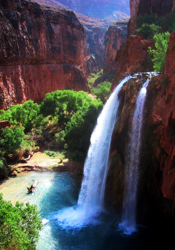 travelingcolors:  Havasupai Falls | Arizona