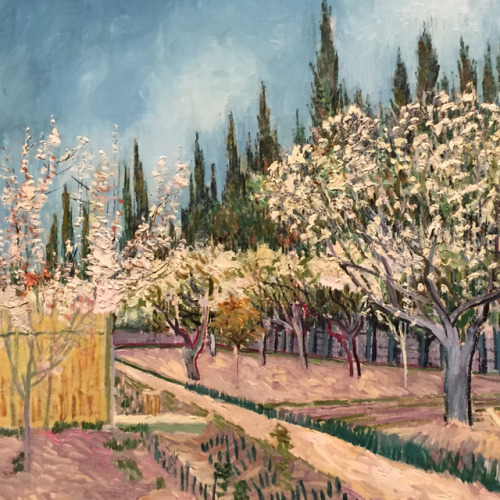 apgujeon: van gogh and the seasons » national gallery of victoria 