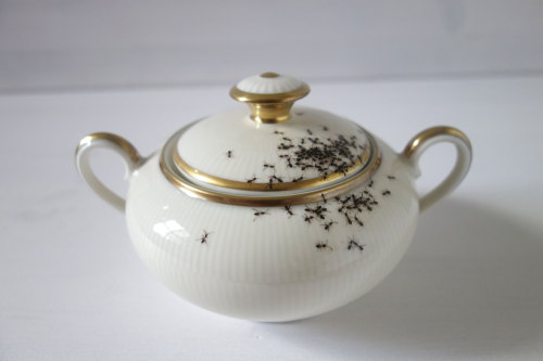 culturenlifestyle:  Hand Painted Ants Cover Vintage Porcelain Dishes  German artist Evelyn Bracklow creates uniquely beautiful and unconventional porcelain dishes which are covered by hand-painted ants. Bracklow’s impressive technique resembles those