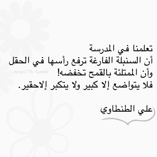 تعلمنا في المدرسة أن السنبلة الفارغة ترفع رأسها في الحقل ، وأن الممتلئة بالقمح تخفضه! فلا يتواضع إلا