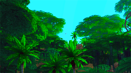 Exploring Selvadorada