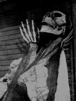 xquoth-the-ravenx:  *dark-fashion/macabre/horror/b&amp;w blog*