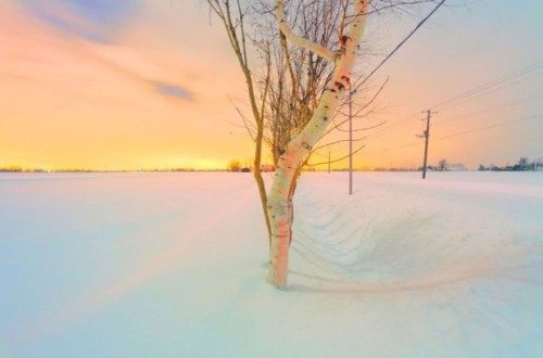 nevver:  Magnetic North, Fuke