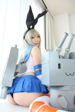 goodcosplays:  Shimakaze (Kantai Collection)